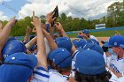 Baseball vs Babson NEWMAC Finals  Wheaton College vs Babson College play in the NEWMAC baseball championship finals. - (Photo by Keith Nordstrom) : Wheaton, baseball, NEWMAC, Babson